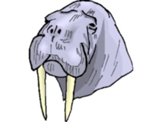 Sticker Custom Preview Image #015985 Animals Aquatic Walrus08