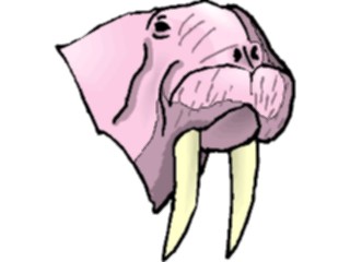 Sticker Custom Preview Image #015986 Animals Aquatic Walrus09