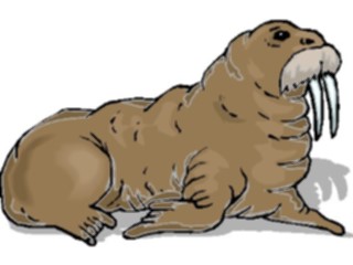 Sticker Custom Preview Image #015988 Animals Aquatic Walrus11