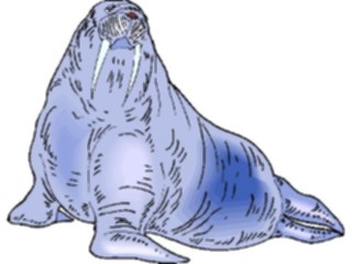 Sticker Custom Preview Image #015989 Animals Aquatic Walrus12