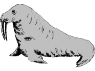 Sticker Custom Preview Image #015990 Animals Aquatic Walrus13