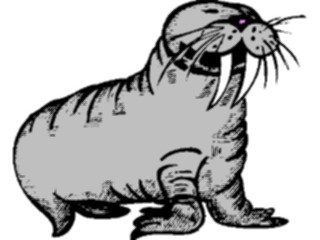 Sticker Custom Preview Image #015991 Animals Aquatic Walrus14