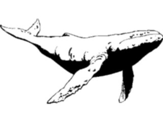 Sticker Custom Preview Image #016000 Animals Aquatic Whale06