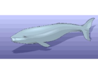 Sticker Custom Preview Image #016006 Animals Aquatic Whale12