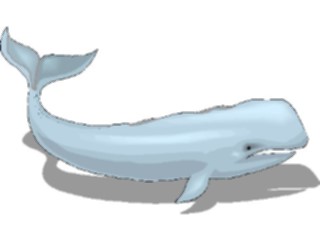 Sticker Custom Preview Image #016007 Animals Aquatic Whale13