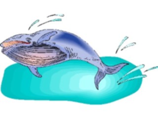 Sticker Custom Preview Image #016008 Animals Aquatic Whale14