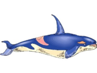 Sticker Custom Preview Image #016010 Animals Aquatic Whale16