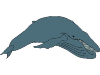Sticker Custom Preview Image #016025 Animals Aquatic Whale Humpback3