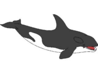 Sticker Custom Preview Image #016028 Animals Aquatic Whale Killer2