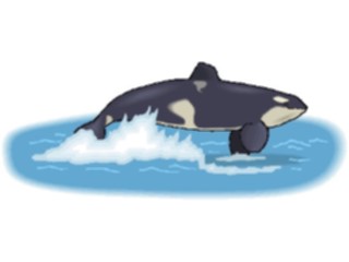 Sticker Custom Preview Image #016031 Animals Aquatic Whale Killer5