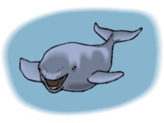 Sticker Custom Preview Image #016033 Animals Aquatic Whale Pilot2