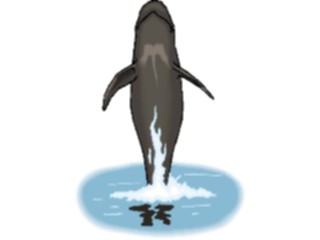 Sticker Custom Preview Image #016034 Animals Aquatic Whale Pilot3