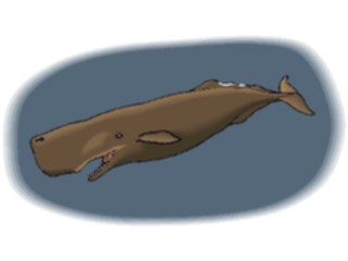 Sticker Custom Preview Image #016037 Animals Aquatic Whale Sperm1