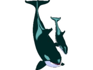 Sticker Custom Preview Image #016039 Animals Aquatic Whales1