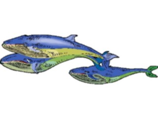 Sticker Custom Preview Image #016040 Animals Aquatic Whales2