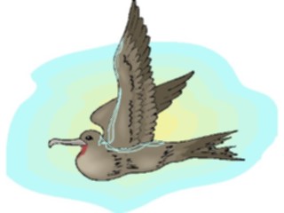 Sticker Custom Preview Image #016041 Animals Birds Albatross