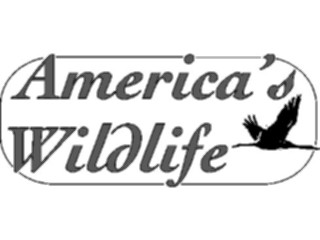 Sticker Custom Preview Image #016042 Animals Birds Americas Wildlife Title