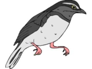 Sticker Custom Preview Image #016079 Animals Birds Bird037