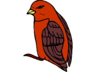 Sticker Custom Preview Image #016083 Animals Birds Bird041