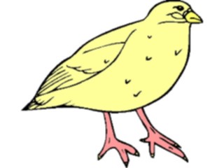 Sticker Custom Preview Image #016084 Animals Birds Bird042