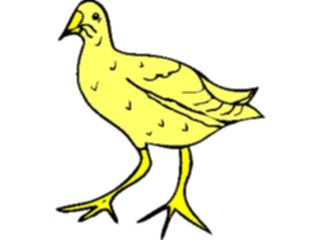 Sticker Custom Preview Image #016085 Animals Birds Bird043