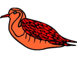 Sticker Custom Preview Image #016093 Animals Birds Bird051