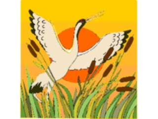 Sticker Custom Preview Image #016100 Animals Birds Bird058