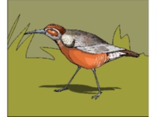 Sticker Custom Preview Image #016104 Animals Birds Bird062