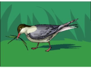 Sticker Custom Preview Image #016107 Animals Birds Bird065