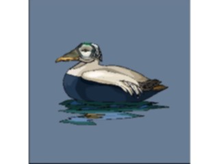 Sticker Custom Preview Image #016108 Animals Birds Bird066