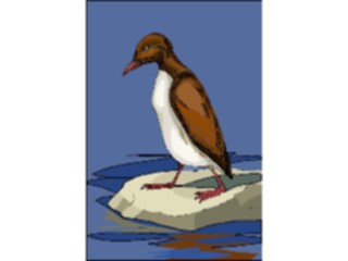 Sticker Custom Preview Image #016113 Animals Birds Bird071