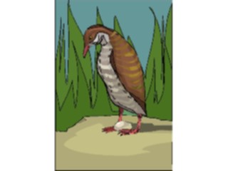 Sticker Custom Preview Image #016114 Animals Birds Bird072
