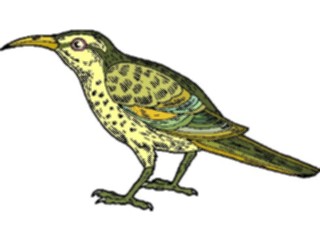 Sticker Custom Preview Image #016126 Animals Birds Bird084
