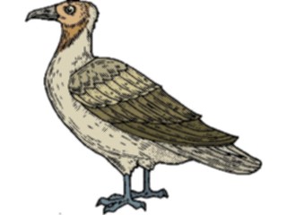 Sticker Custom Preview Image #016127 Animals Birds Bird085