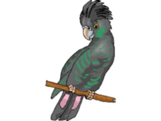 Sticker Custom Preview Image #016133 Animals Birds Bird091