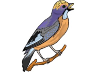 Sticker Custom Preview Image #016137 Animals Birds Bird095
