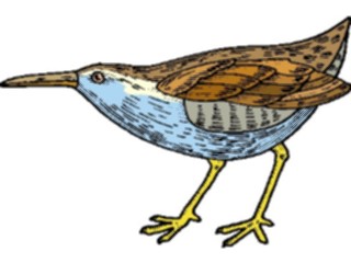 Sticker Custom Preview Image #016146 Animals Birds Bird104