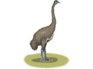 Sticker Custom Preview Image #016147 Animals Birds Bird105