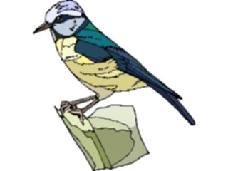 Sticker Custom Preview Image #016149 Animals Birds Bird107