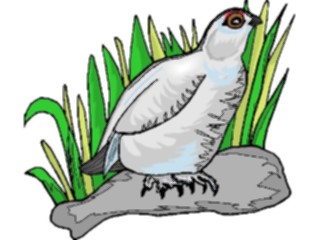 Sticker Custom Preview Image #016153 Animals Birds Bird111