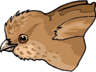 Sticker Custom Preview Image #016155 Animals Birds Bird113