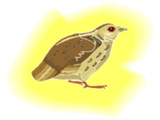 Sticker Custom Preview Image #016159 Animals Birds Bird117