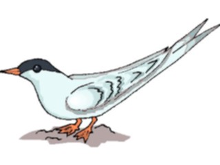 Sticker Custom Preview Image #016162 Animals Birds Bird120
