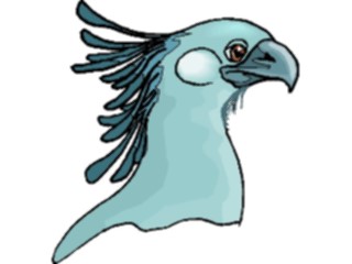 Sticker Custom Preview Image #016167 Animals Birds Bird125