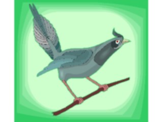 Sticker Custom Preview Image #016168 Animals Birds Bird126