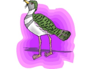 Sticker Custom Preview Image #016177 Animals Birds Bird135