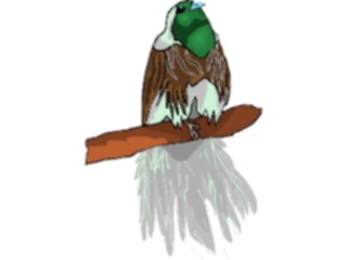 Sticker Custom Preview Image #016185 Animals Birds Bird143
