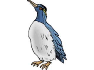 Sticker Custom Preview Image #016186 Animals Birds Bird144