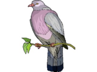 Sticker Custom Preview Image #016190 Animals Birds Bird148