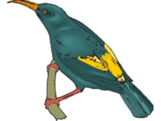 Sticker Custom Preview Image #016198 Animals Birds Bird156